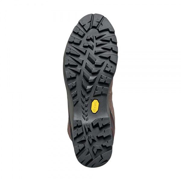 کفش کوهنوردی زنانه اسکارپا R-Evolution GTX